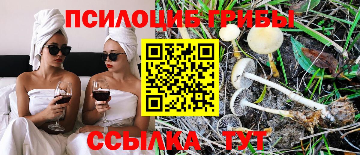 Галлюциногенные грибы прущие грибы  Вход с VPN  Скопин 